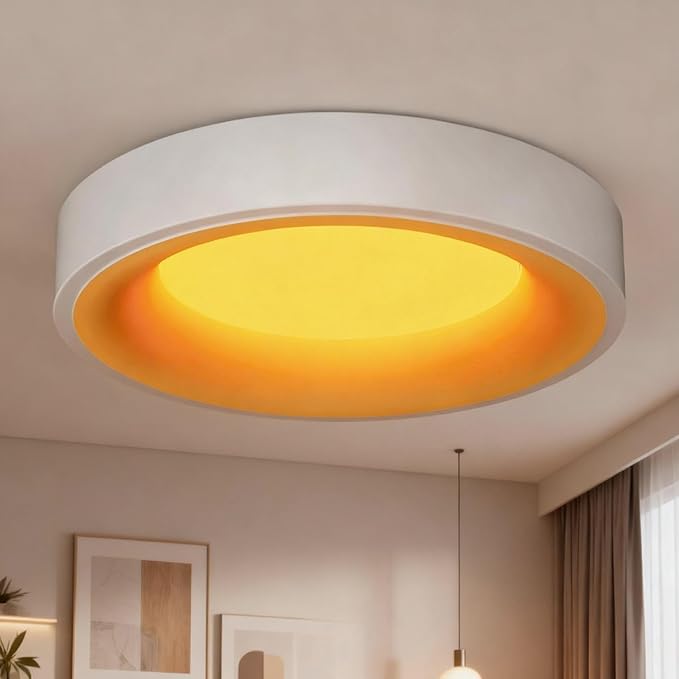 12 Inch LED Flush Mount Ceiling Light with Night Light, 5CCT & Dimmable, 20W 1550LM 2700K-5000K, Modern Round White Ceiling Fixture for Bedroom, Kitchen, Hallway, Living Room, Closets