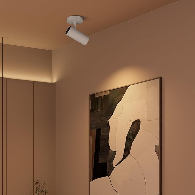 Aisilan LED Modern Directional Dimmable Spotlight Adjustable 90 Degrees Anti Glare Ceiling Spot Light for Indoor Foyer Living Room Warm White White 9W CREE COB CRI 97