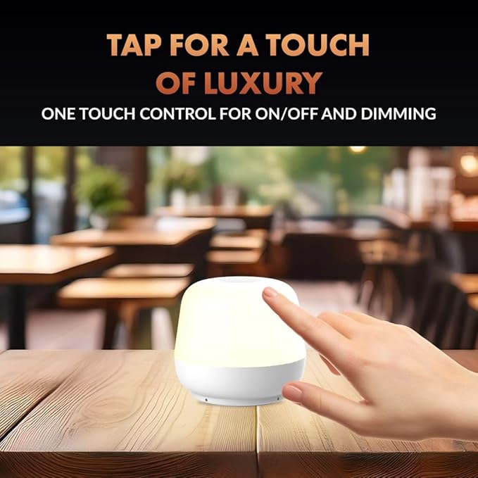 ‎Newhouse Lighting Coco, White 2700K Dimmable Cordless Portable USB-C Rechargeable Table Lamp NHTL-CO-WH, Cordless Desk Lamp for Living Room, Bedroom, Coffee Table, and Other Cozy Home Decor