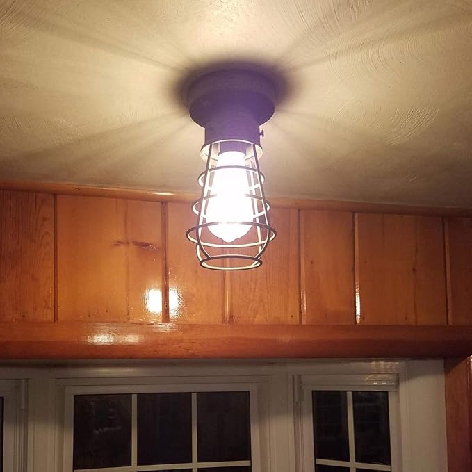 Farm Rustic Ceiling Light Fixture Small Metal Caged Ceiling Light Mini Close to Ceiling Lamp with Unique Rust Finish