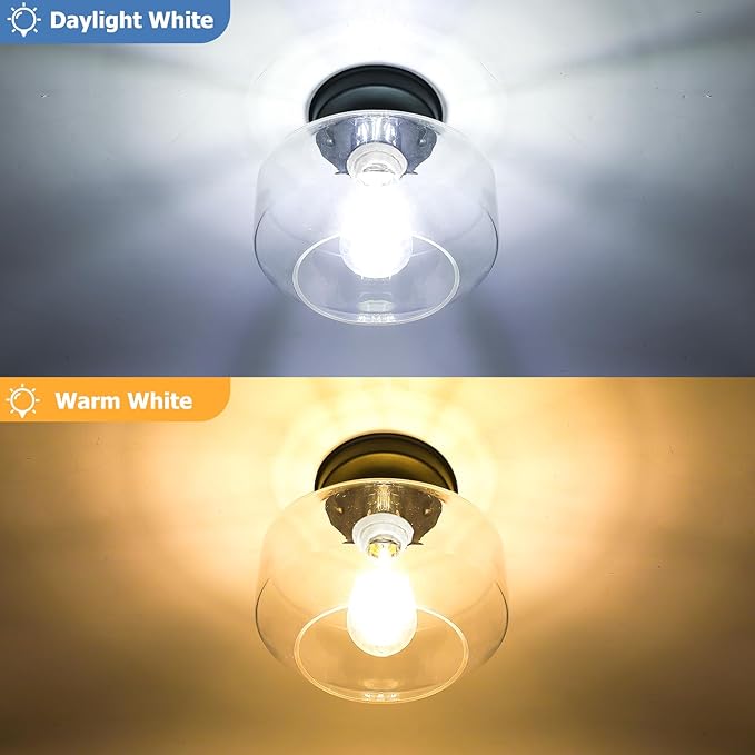 TOBUSA Semi Flush Mount Ceiling Light 2 Pack, Industrial Ceiling Light Fixture with Clear Glass Pendant Lamp Shade, Farmhouse Hallway Light Fixtures for Porch Kitchen Bedroom, E26 Bulbs Excluded