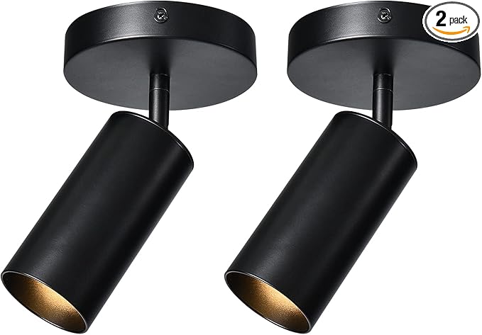Black Ceiling Light, Gu10 Modern Ceiling Spotlight Angle Adjustment Downlight 2 Lights Wall Mount Lights for Living Room, Gallery, Cabinet, Hallway, Bedroom, Showrooms, Kitchen