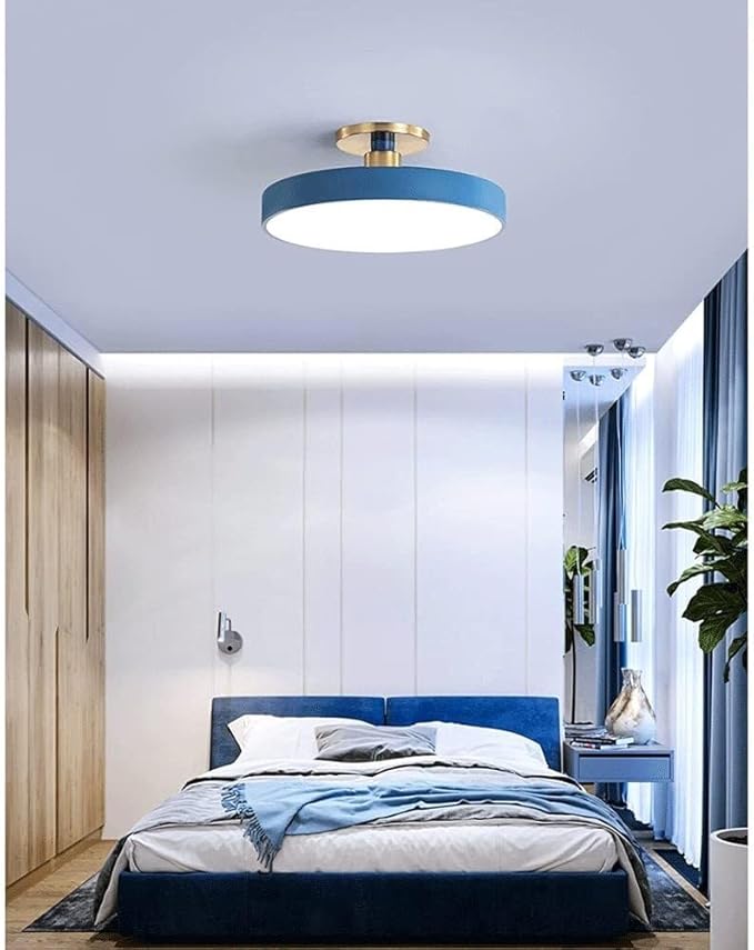Flush Mount Ceiling Lamp LED Adjustable Tri-Color Light Ceiling Light Round Aisle Loft Restaurant Ceiling Light Fixture for Living Room Bedroom Dining Room Kitchen Study Room Corridor Chandelie
