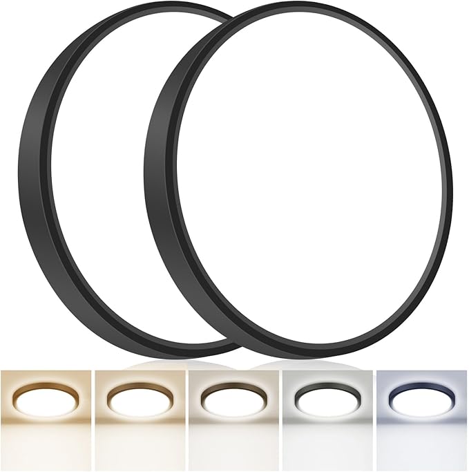 hepside 2Pack 12Inch LED Flush Mount Ceiling Light Fixture 5CCT 24W 2800LM Closet Light Fixture,Small Round Slim Surface Ceiling Lamp for Hallway,Bathroom,Bedroom,Kitchen,Interior