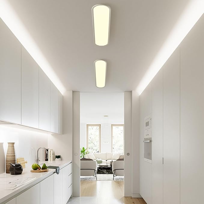 Ganeed 27.6 Inch LED Ceiling Light, High Brightness Linear Ceiling Lamps, 36W Dimmable Modern Ultra Thin Low Profile Light Fixture for Bedroom Kitchen Study Room Hallway, White
