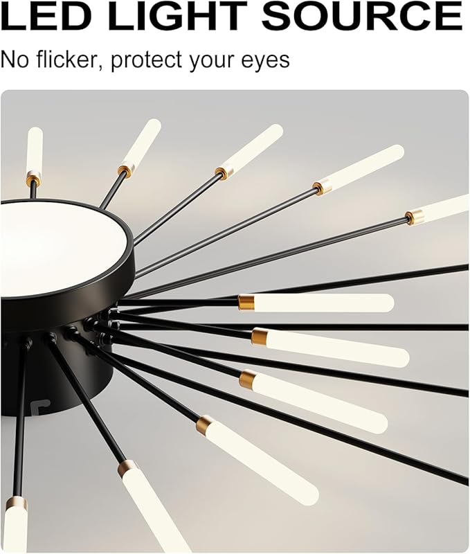 Ceiling Light Modern LED Ceiling Lamps,Flower Shape Ceiling Lights,Flush Mount Chandelier,Metal Acrylic Ceiling Lamps,Living Room Light Fixtures Ceiling for Bedroom,Dining Room(Black,28+1 Heads)