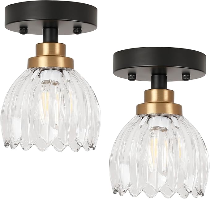 TALOYA Semi Flush Mount Ceiling Light,2 Pack Close to Ceiling Light Fixtures with Clear Tulip Glass Shades Modern Farmhouse Lighting Fixtures for Hallway Corridor Kitchen Bathroom Bedroom Passway