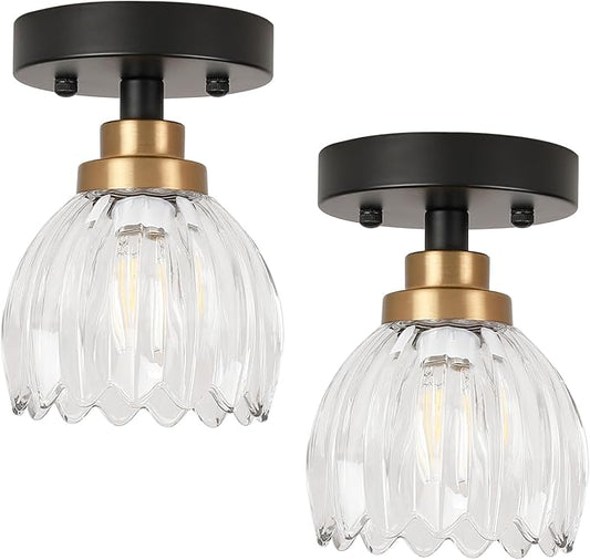 TALOYA Semi Flush Mount Ceiling Light,2 Pack Close to Ceiling Light Fixtures with Clear Tulip Glass Shades Modern Farmhouse Lighting Fixtures for Hallway Corridor Kitchen Bathroom Bedroom Passway
