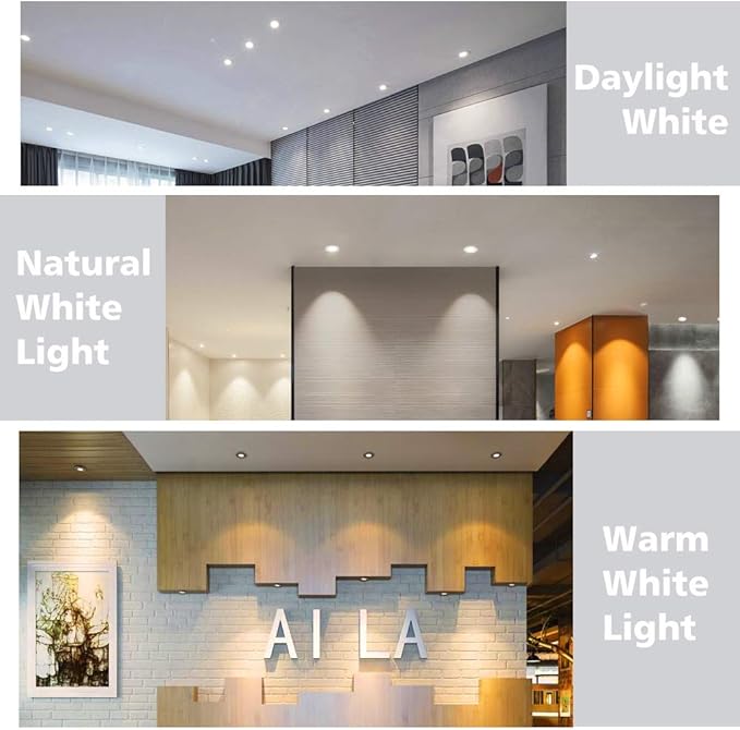 2 Inch LED Downlight, Recessed Lighting Dimmable Ceiling Light, 3W, 5500K Daylight White, CRI80 with LED Driver(35W Halogen Equivalent), 1 Pack