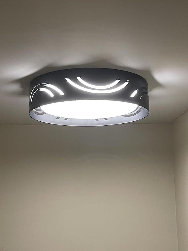 Modern Dimmable LED Flush Mount Ceiling Light with Remote, 2400LM 2700K-6500K Adjustable 12 Inch Bedroom Ceiling Light with Night Light for Kitchen Hallway Bathroom Living Room (Black, Arc