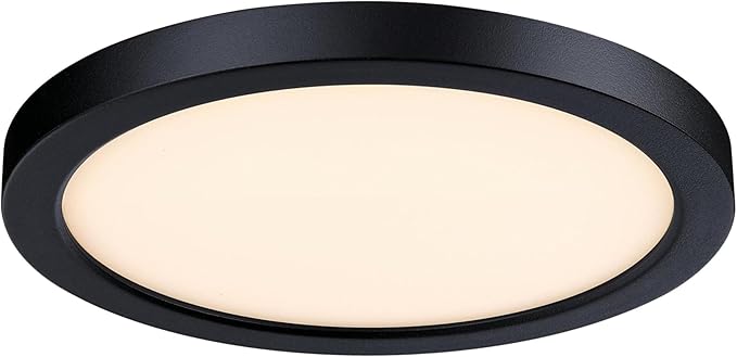 Westinghouse Lighting LED Indoor/Outdoor Flush Mount Fixture with Color Temperature Selection