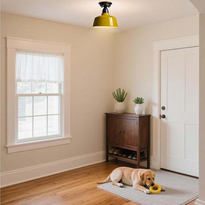 Yellow Ceiling Light Fixture Macarons Indoor Ceiling Lights for Hallway Laundry Basement 10 in Barn Style Kitchen Light Fixtures Outdoor Ceiling Lights for Porch…