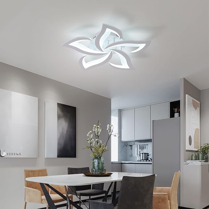 DELIPOP LED Ceiling Light Fixture, 6500K Modern LED Flush Mount Ceiling Lights, 23.6 inch Acrylic Ceiling Lamp for Living Room Dinning Room Kitchen Bedroom Ceiling Light Fixtures Ceiling Mount
