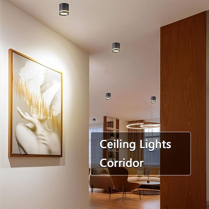 2.36" LED Ceiling Spotlight Indoor Cylinder Downlight 5W 3000K Black Aluminum Spot Light Ceiling Light Fixture for Hallway Corridor Gallery Display Kitchen Living Room Dining Room Bedroom
