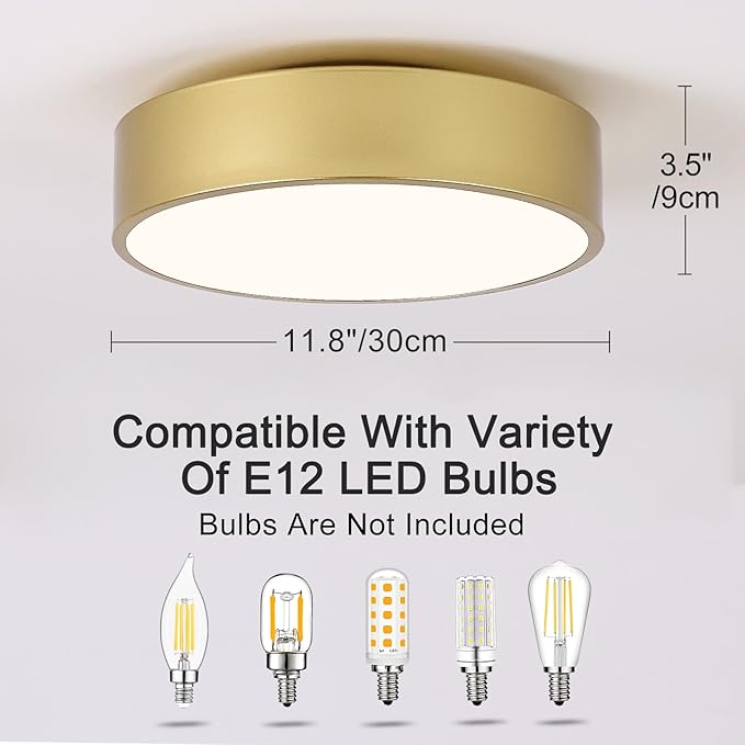 Modern Gold Flush Mount Ceiling Light Fixture,Contemporary 2-Light Round Ceiling Lights with White Acrylic Shade for Hallway,Foyer,Entryway,Closet, Porch,Kitchen(11.8")