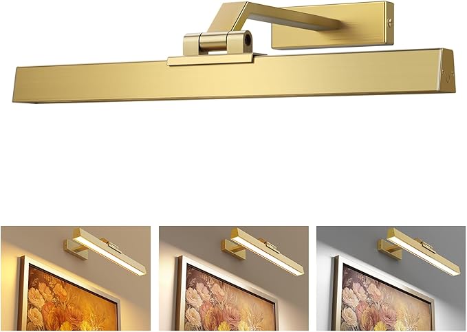 Afyuol Picture Lights for Wall, Brushed Gold Battery Operated Picture Light 16in Art Light CCT Dimmable Recharging Battery Wall Light with Remote Control for Living Room Gallery