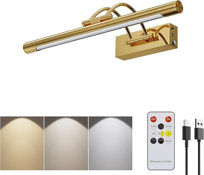 Picture Frame Light,16 inch Wireless Picture Lights Rechargeable for Wall with Remote,5000mAh 3CCT Dimmable and Timer Remote Art Lighting for Paintings for Pictures Display,Gold