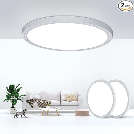 Flush Mount Ceiling Light Fixtures,24W Flat led Light for Ceiling,6000K 2200LM Ultra Thin Round White Lamp for Bedroom Kitchen,Bathroom,Garage,Living Room, Dining Room -2PCS