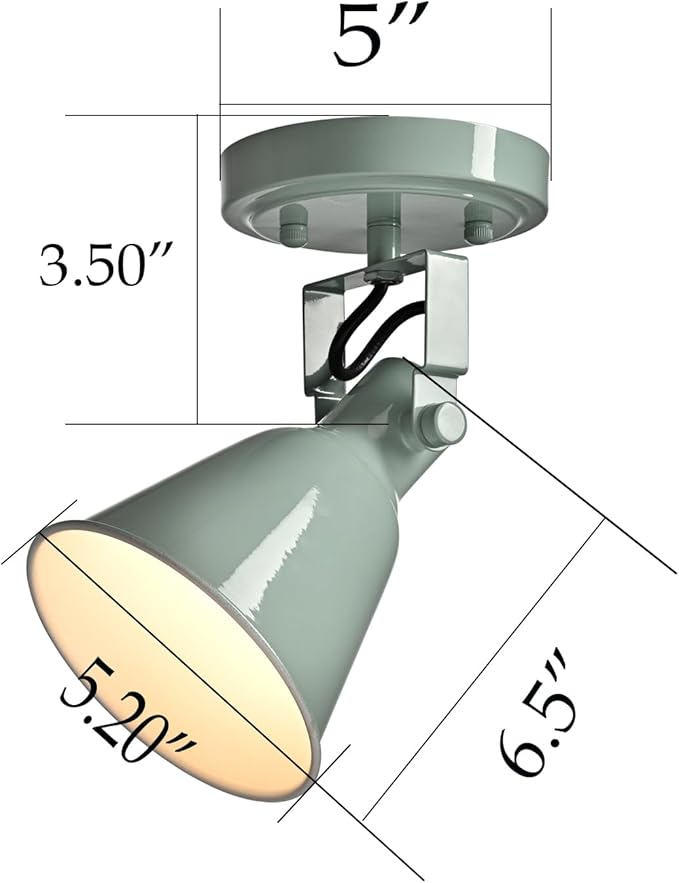 DIRYZON 1-Light Adjustable Sea Blue Green Spotlight, Semi Flush Mount Ceiling Light Fixture Track Light for Bedroom, Kitchen, Hallway & Wall Art Display