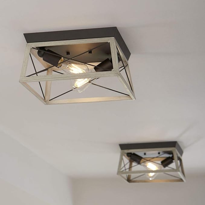 Progress Lighting Briarwood Collection 2-Light Ceiling Light, Flush Mount Ceiling Light Fixture for Interior Kitchen Lights, Hallway, Bedroom, Living Room, 12-Inch by 6-Inch, Graphite