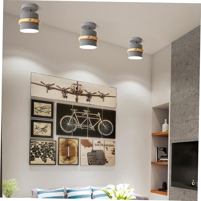 Ipetboom Minimalist LED Ceiling Lamp White Light Grey Finish Light Fixture for Hallway Dining Kitchen Living Areas