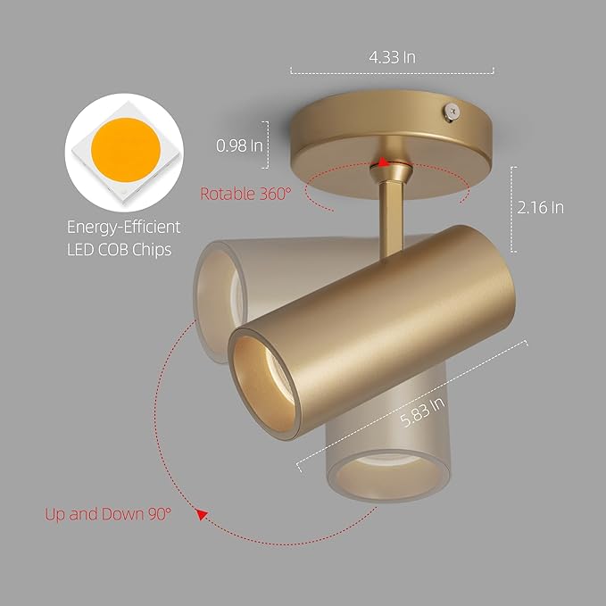 Aisilan 12W LED Gold Directional Ceiling Spot Lights Indoor - Adjustable 90°Spotlight Lighting, Anti-Glare, Warm Light, CRI 97, Flicker-Free - Ideal for Picture Painting and Living Room Accent Light