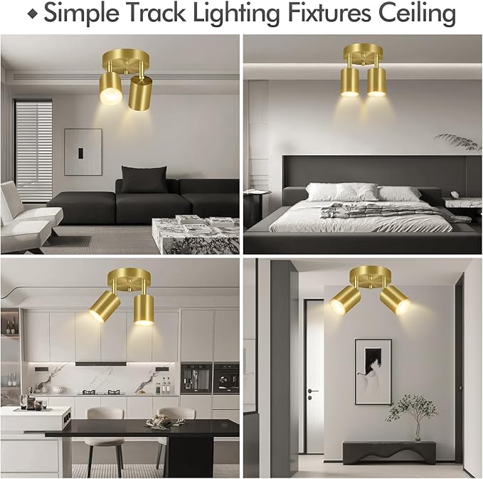 2 Light Track Lighting Fixtures Ceiling, Gold Round Directional Ceiling Spotlight, GU10 Flush Mount Ceiling/Wall Fixture, Adjustable Modern LED Track Lights for Kitchen/Living Room, Bulb Not Included
