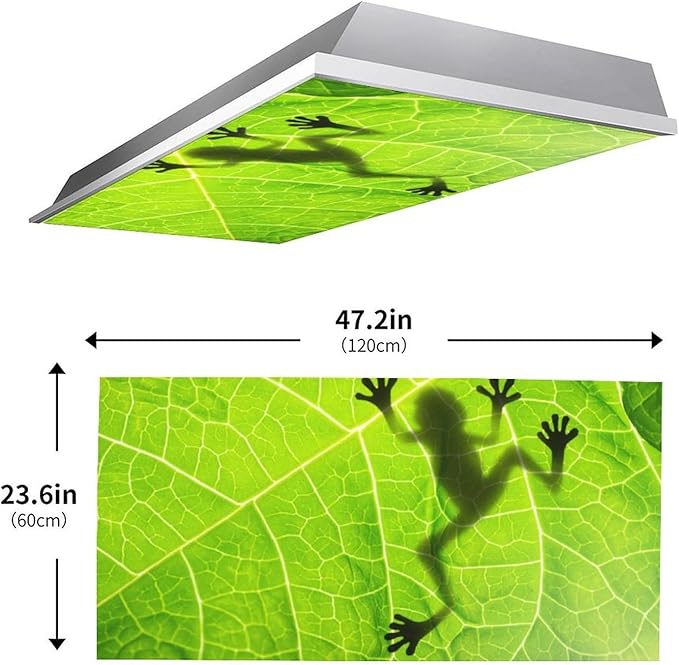 2 Pack Fluorescent Light Cover for Ceiling, Funny Frog Magnetic Classroom Lights Covers, School Supplies for Home Office
