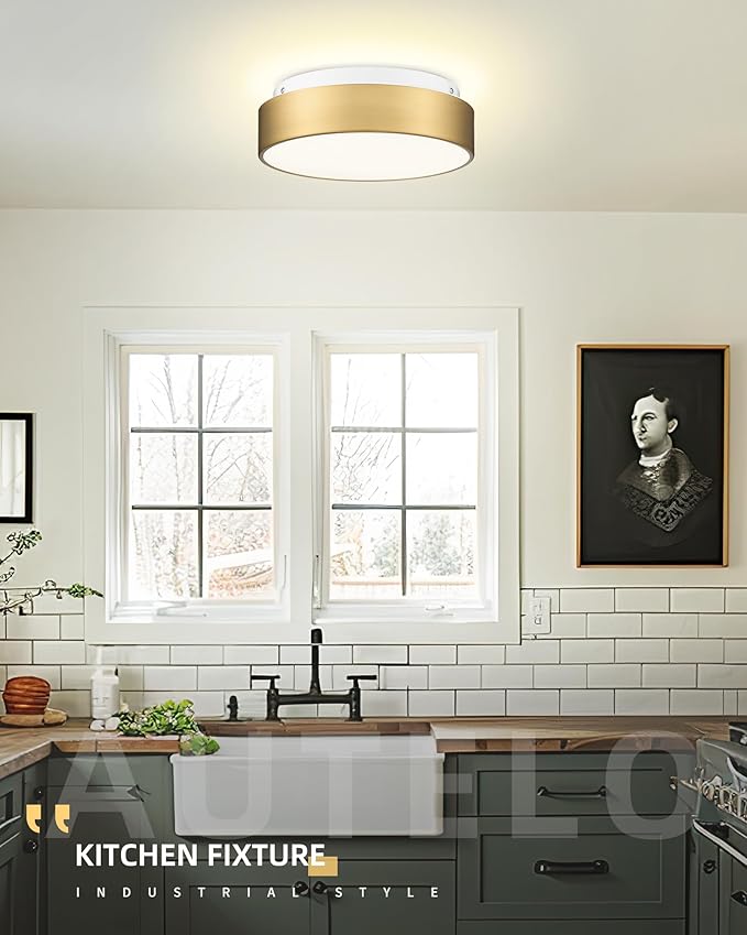 AUTELO 2-Light Close to Ceiling Light Fixture, 11 inch Frosted Glass Shade Flush Mount Ceiling Light Fixture in Antique Brass Finish, E26 Socket for Living Room Hallway Bedroom C3312 BRZ