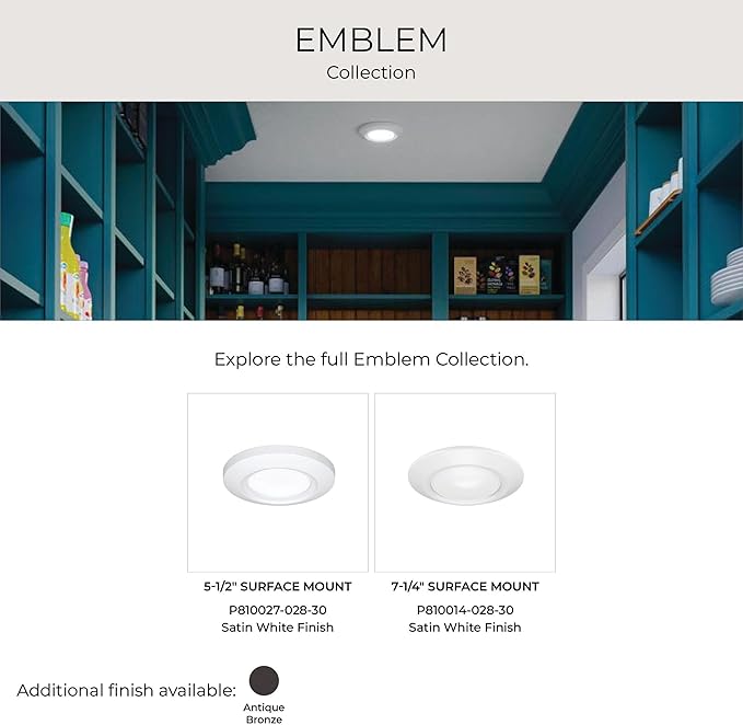 Progress Lighting 5-1/2" Emblem Collection Surface Mount LED, Aluminum in White