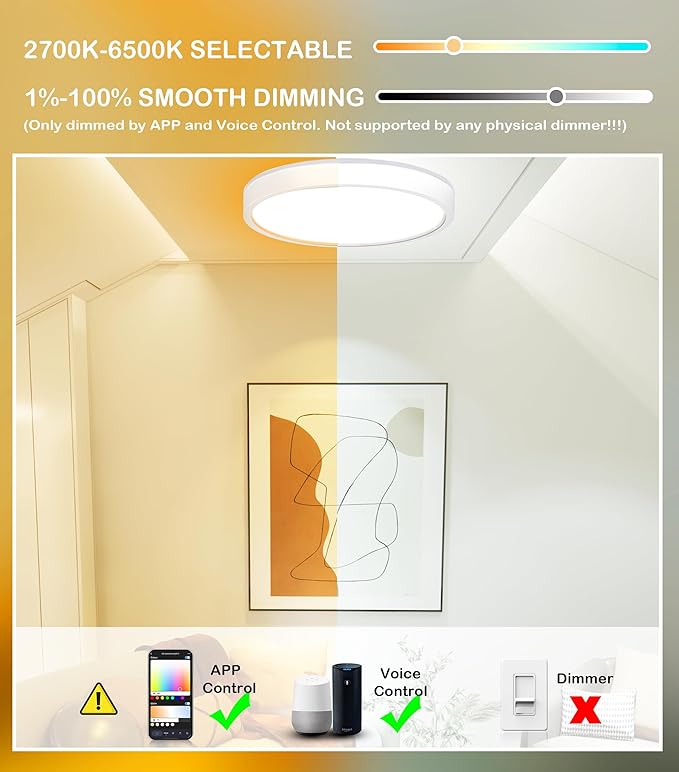 CLOUDY BAY 8 Inch LED Smart Flush Mount Ceiling Light,15W 2700-6500K CCT,2W RGB,Compatible with Alexa and Google Home Assistant,Pack of 2