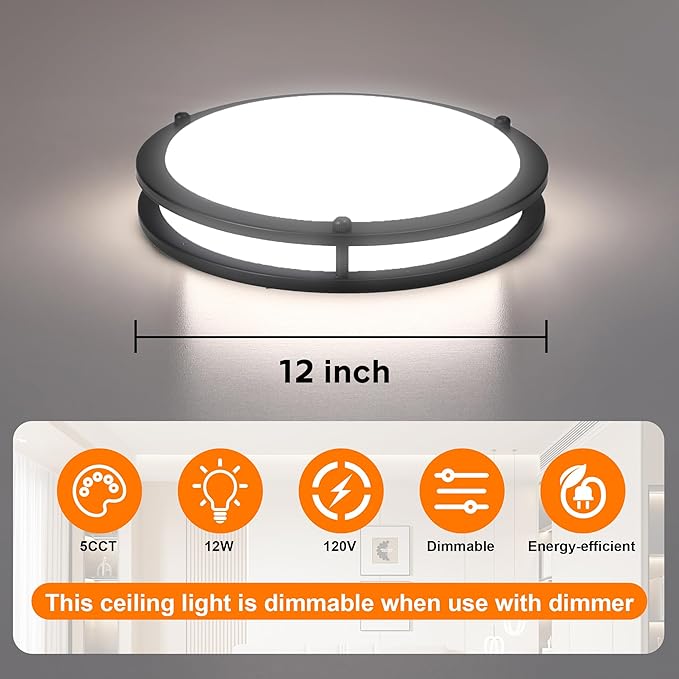 12 Inch Round Black Ceiling Light Fixture for Living Room - 12” Black LED Flush Mount Ceiling Lamp 2700K/3000K/3500K/4000K/5000K LED Kitchen Bathroom Light