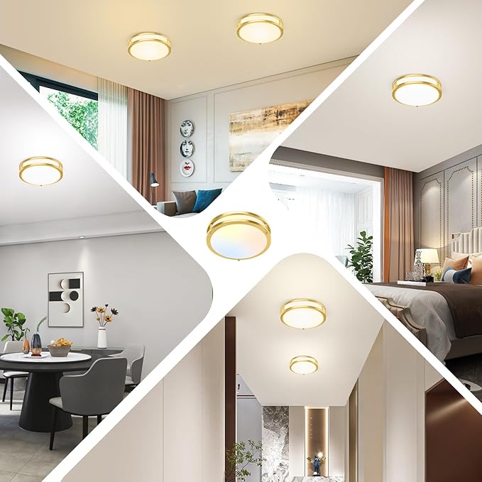 10 Inch LED Flush Mount Ceiling Lights, Gold Kitchen Lighting Fixtures with 2700K/3000K/4000K/5000K/6500K 5 Color Adjusted, Dimmable Modern Round LED Lights for Bedroom Living Room Laundry, 2-Pack