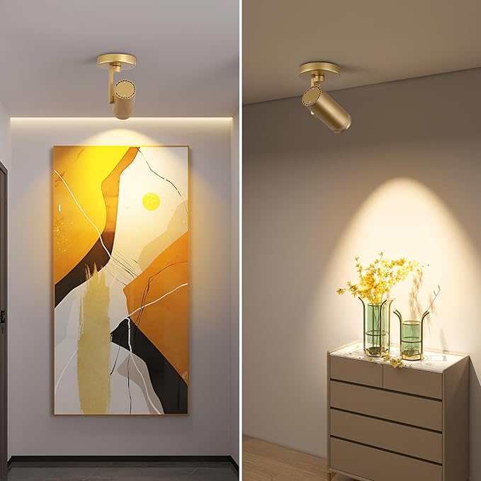 12W LED Gold Dimmable Zoomable Ceiling Spotlight Indoor – Adjustable Wall Surface Mount Accent Light for Home Corridor, Picture, Plants & Painting | Warm White 3000K CRI 97