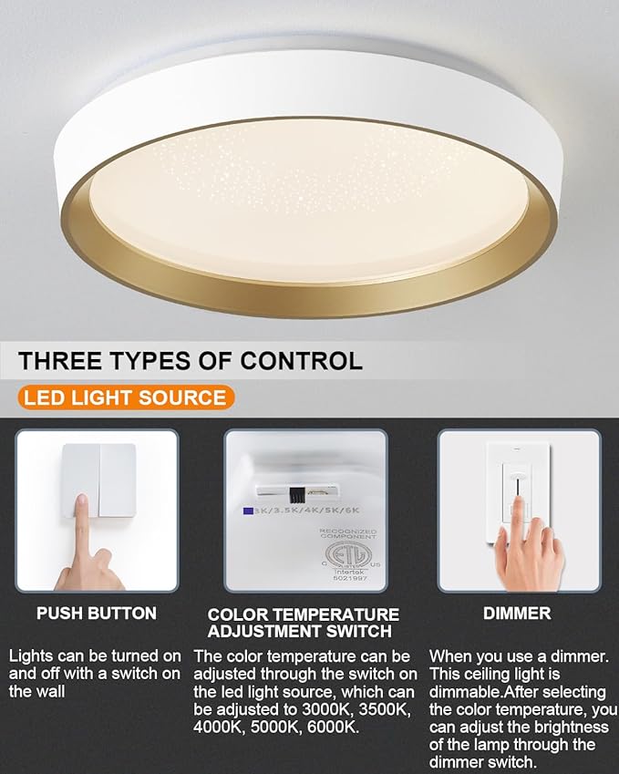 ANYLOVE 10 Inch Modern Flush Mount Ceiling Lights,White Gold Plastic Round Ceiling Light,Dimmable 3000K,3500K,4000K,5000K,6000K,for Living Room,Dining Room,Bedroom,Kitchen (White and Gold, 15 Inch)