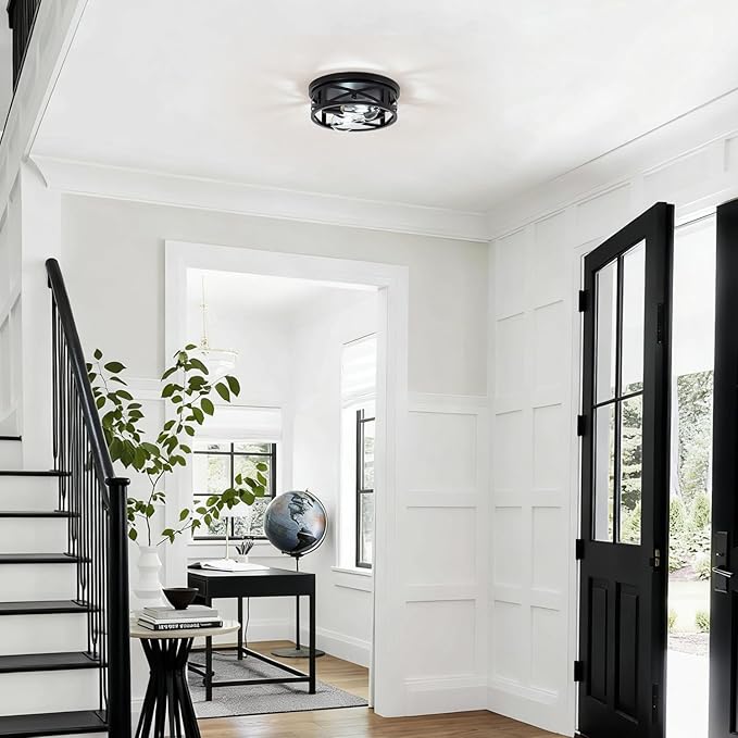 Hallway Ceiling lamp, 11 inch Farmhouse Metal cage Style,Suitable for Corridors, Entrances, Balconies, Kitchens,etc,Adjustable lamp Holders, 2 pcs, 6000K Cold White lamp (Black)