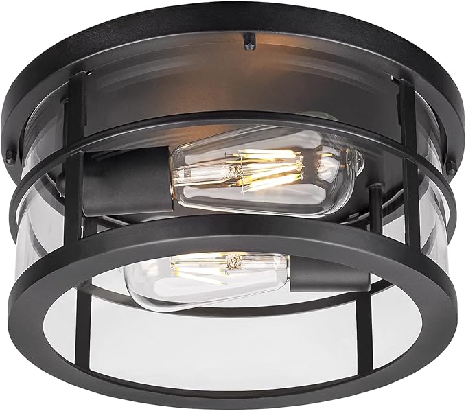 Darkaway Flush Mount Ceiling Light, 11.6 Inch Industrial Ceiling Light Fixture Outdoor Indoor Close to Ceiling with Clear Glass Shade for Hallway Balcony Porch Kitchen Living Room 2-Light