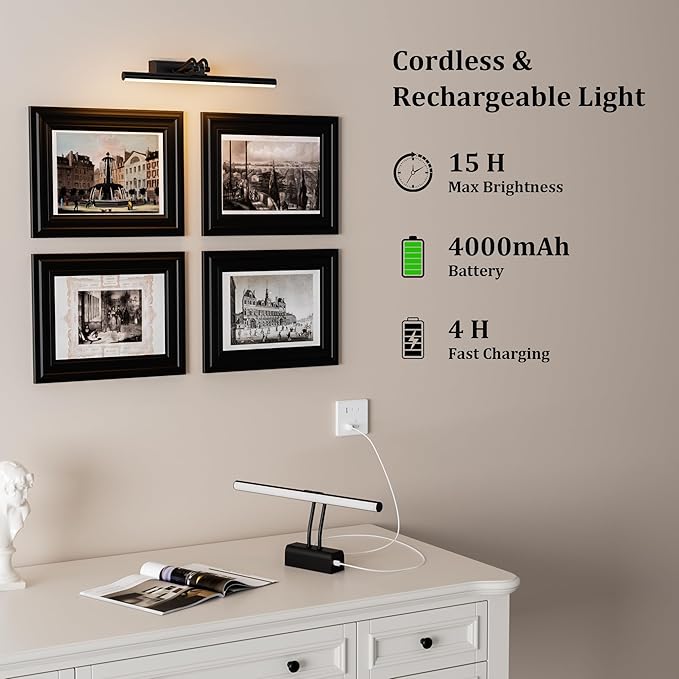 Battery Operated Wall Light for Living Room Picture Light for Wall Set of 2, 4000 mAh, 14'' Dimmable Art Painting Light, Remote Control, Display for Gallery, Living Room, Bedroom (Black)