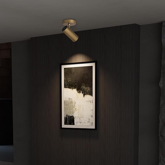 Aisilan 12W LED Gold Directional Ceiling Spot Lights Indoor - Adjustable 90°Spotlight Lighting, Anti-Glare, Warm Light, CRI 97, Flicker-Free - Ideal for Picture Painting and Living Room Accent Light