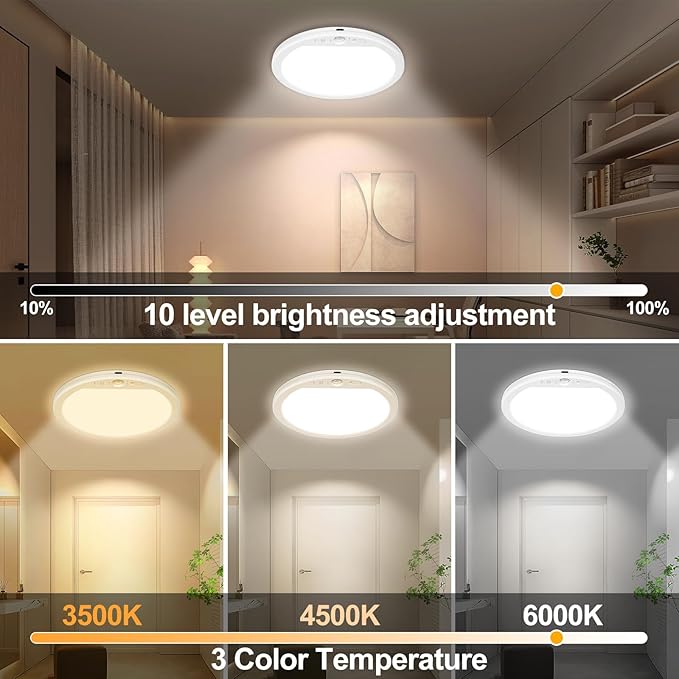 OSIDEN 2 Pack Rechargeable Motion Sensor Ceiling Light with Remote for Shower Shed Hallway Porch Stairs Garage