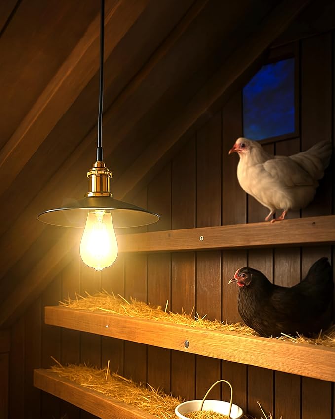 Solar Pendant Light Indoor Outdoor, 1000LM Solar Shed Light IP65 Waterproof Metal Powered Hanging Chandelier, Gazebo Lights with Remote for Barn Gazebo Yard Garage Patio