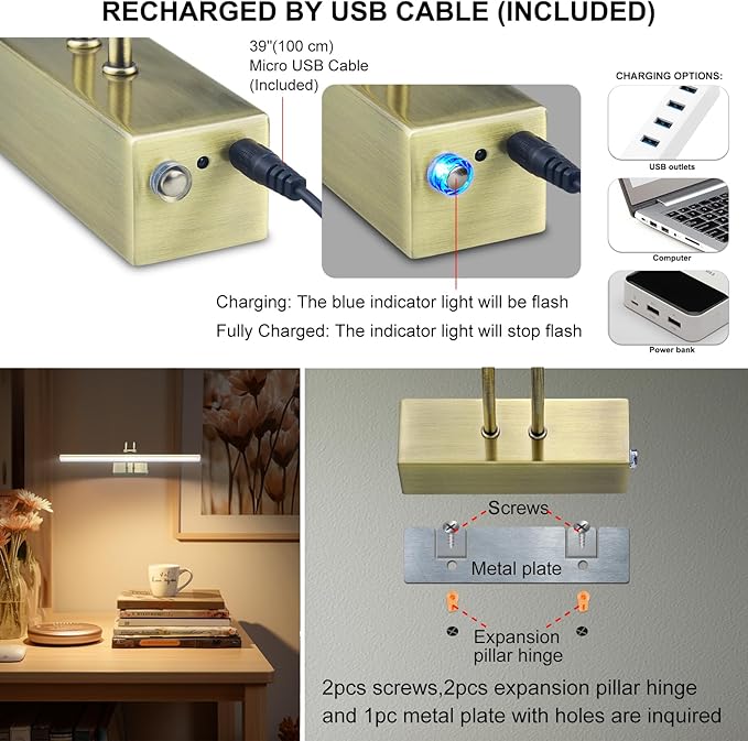 Picture Light, Picture Lights for Wall Cordless, 16inch Picture Lights with Timer and Dimmable, 5000mAh Battery Wall Lights for Display Gallery Painting Art Frame Portrait - Antique Brass 2 Colors