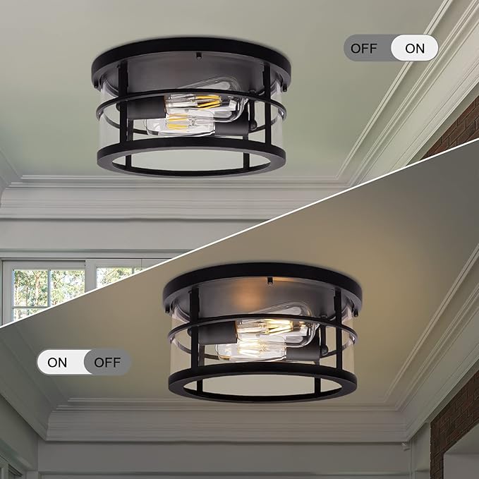 Darkaway Flush Mount Ceiling Light, 11.6 Inch Industrial Ceiling Light Fixture Outdoor Indoor Close to Ceiling with Clear Glass Shade for Hallway Balcony Porch Kitchen Living Room 2-Light