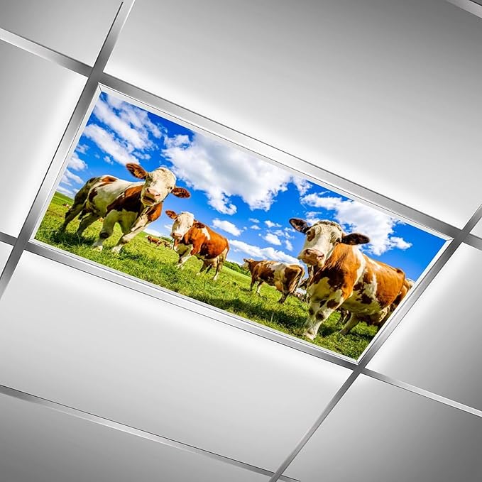 2 Pack Fluorescent Light Covers - Funny Cattle Magnetic Ceiling Light Covers for Classroom & Home Office