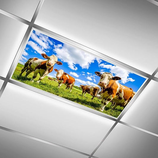 2 Pack Fluorescent Light Covers - Funny Cattle Magnetic Ceiling Light Covers for Classroom & Home Office