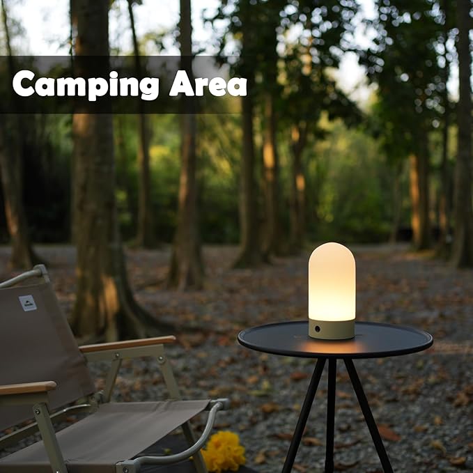 WEILAILUX Battery Operated Shower Lamp Waterproof, Small Portable Cordless Table Lamp Rechargeable, Touch Dimmable Mood Light for Home/Patio/Dining/Outdoor (Black)