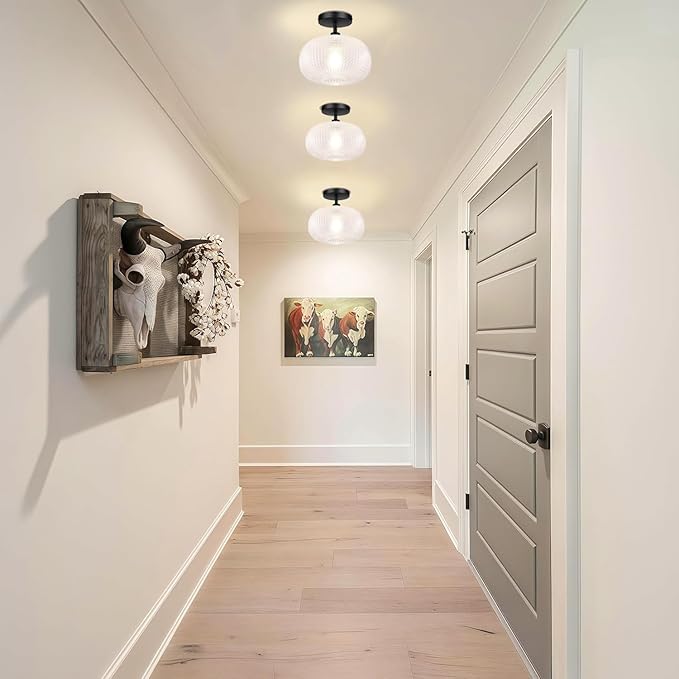 Semi Flush Mount Ceiling Light,Globe Glass Ceiling Lights,Black Hallway Light Fixtures,Entryway Light Fixture,Kitchen Lighting Fixtures Ceiling,Modern Hanging Lighting for Closet,Foyer