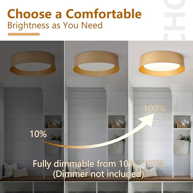 Bargeni Flush Mount Ceiling Light, 16.5 inch LED Ceiling Light Fixture, Polished Gold Finish, Dimmable/3000K/18W, Outdoor Flush Mount Lighting Fixture