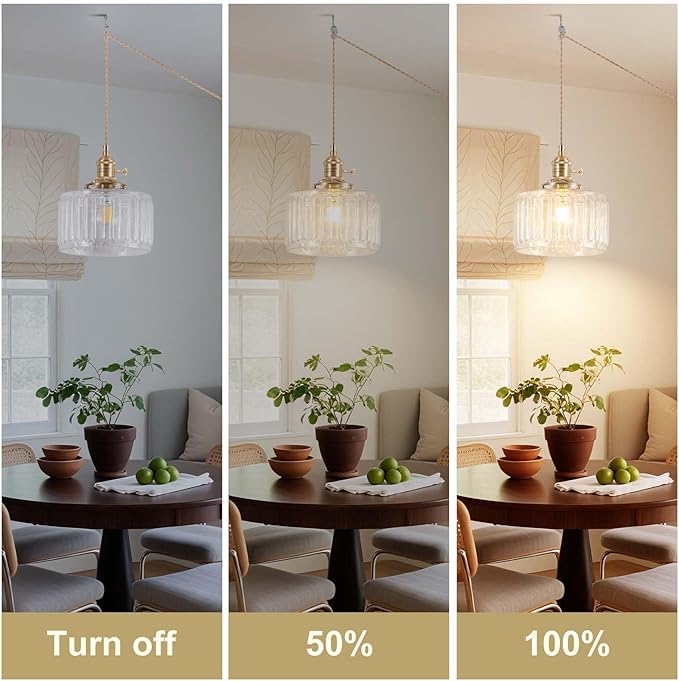 Pendant Light Fixtures,Plug in Hanging Light Fixture 6.6in Glass Pendant Light,E26 Pendant Lighting for Kitchen Island, Bedroom, Dining Room, Living Room