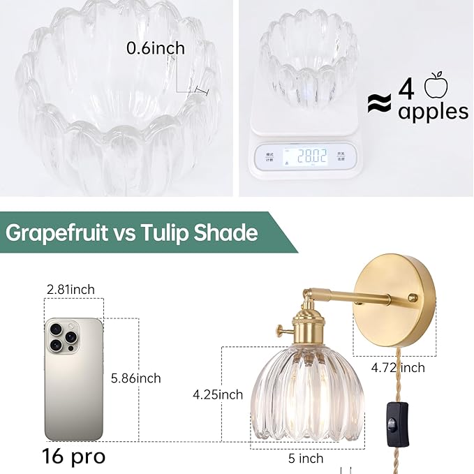 Shenmoyl Plug in Wall Sconce, Transparent Tulip Glass Lampshade Wall Light Plugin Corded for Bedside Bedroom Doorway